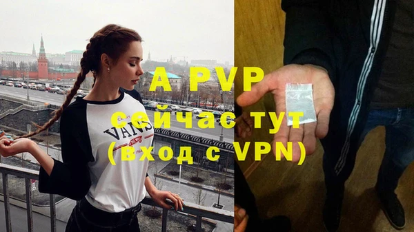 винт Алзамай