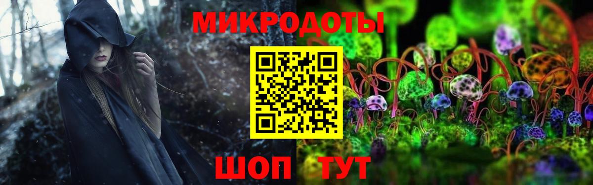 Галлюциногенные грибы Cubensis Кемерово