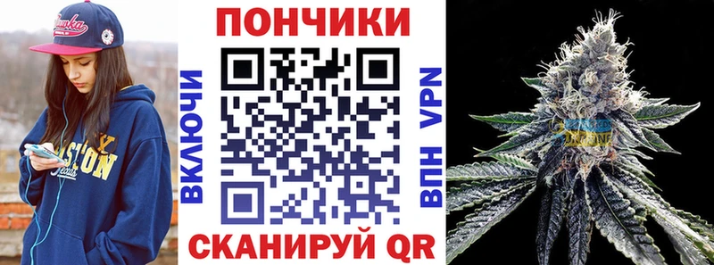 ссылка на мегу как войти  Кемерово  Шишки марихуана план 